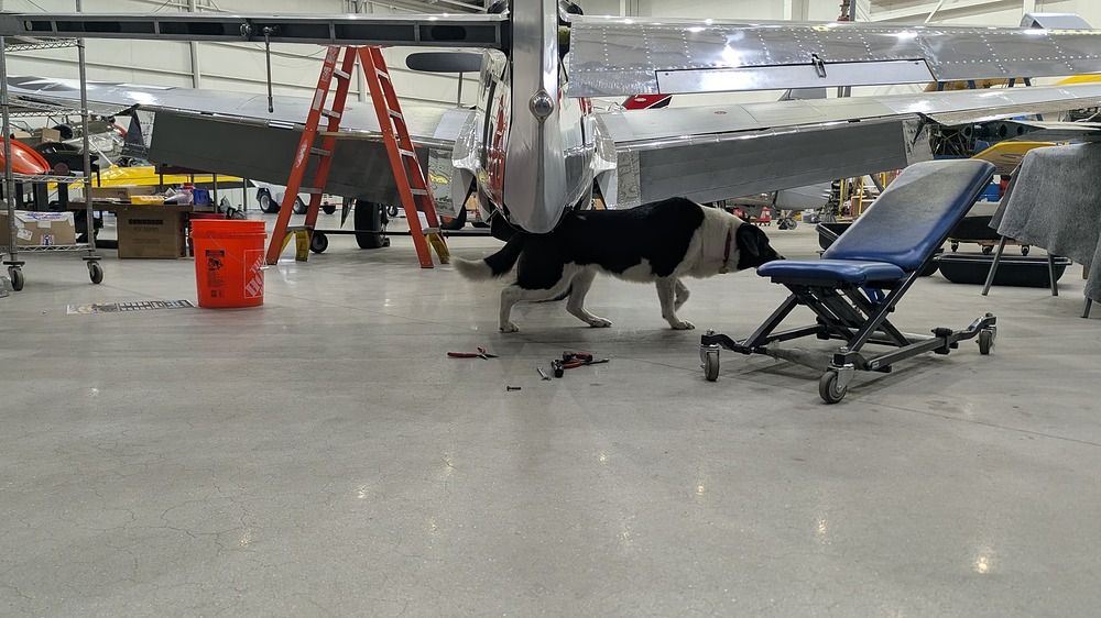 PXL_20260325_172509497