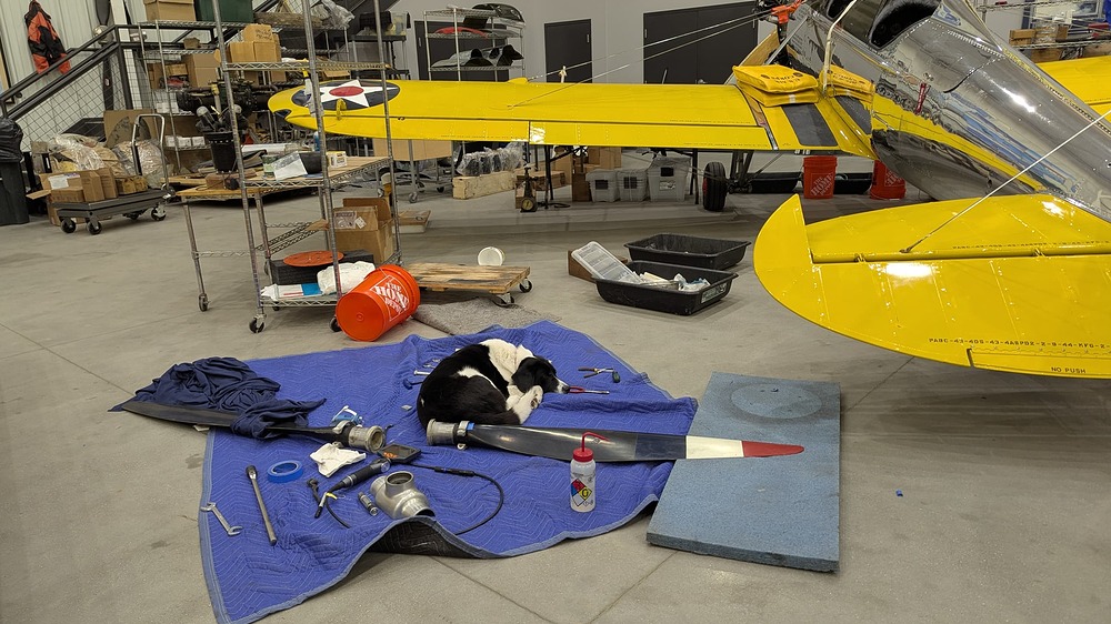 PXL_20260219_012153941