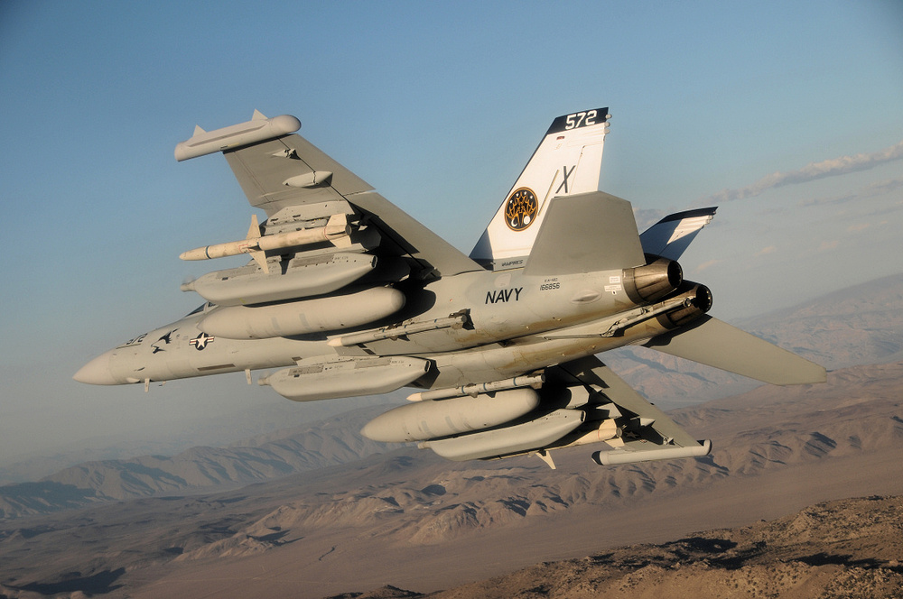 EA-18G Growler VX-9 from below, 2008