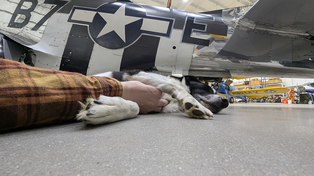 PXL_20251125_011944027