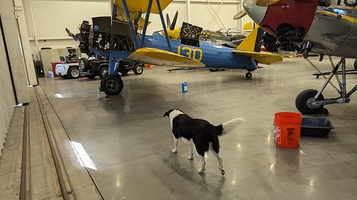 PXL_20251022_160403593~2