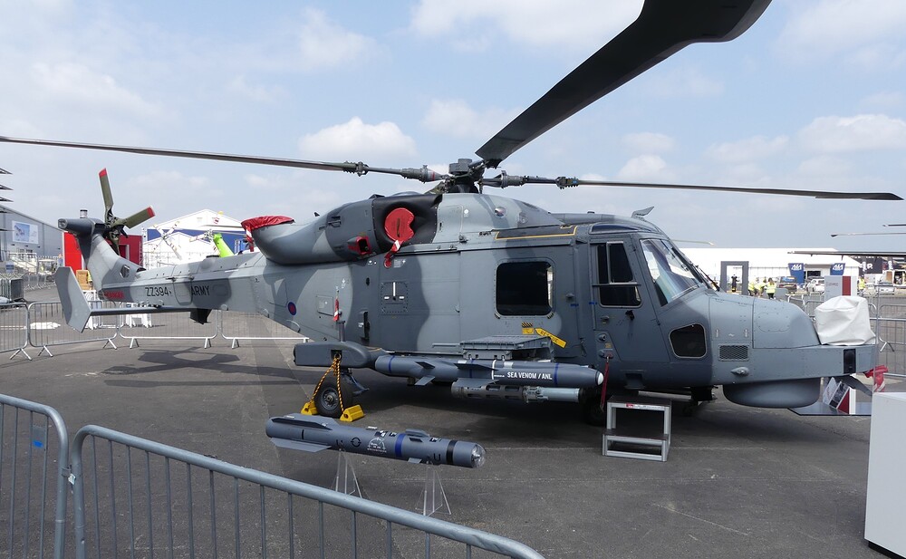 wildcat5
