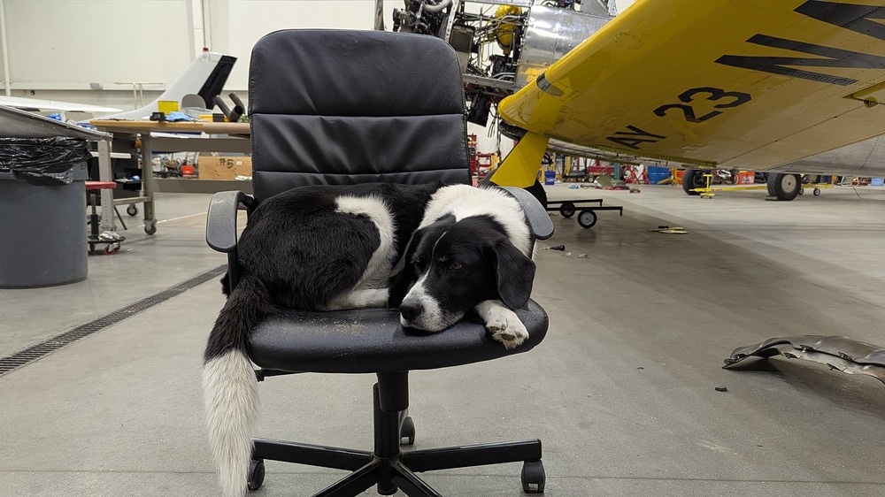 PXL_20251230_222711768