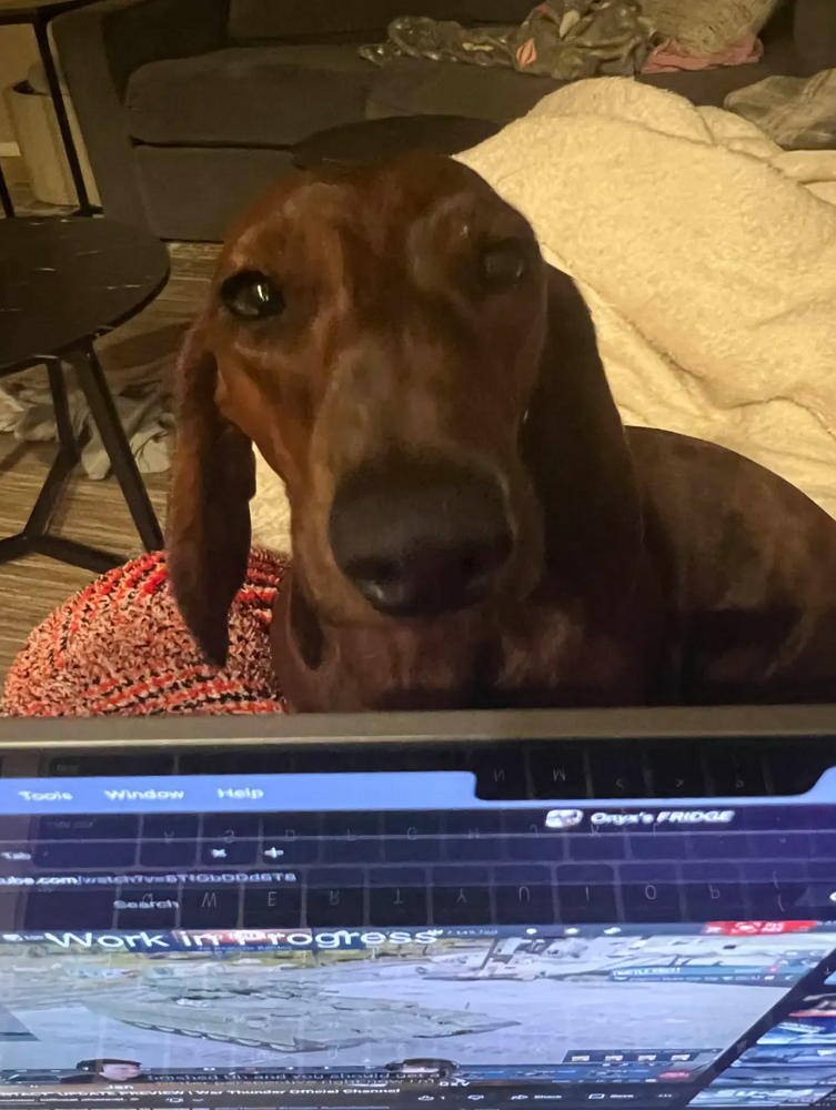 Screenshot 2026-01-03 022359