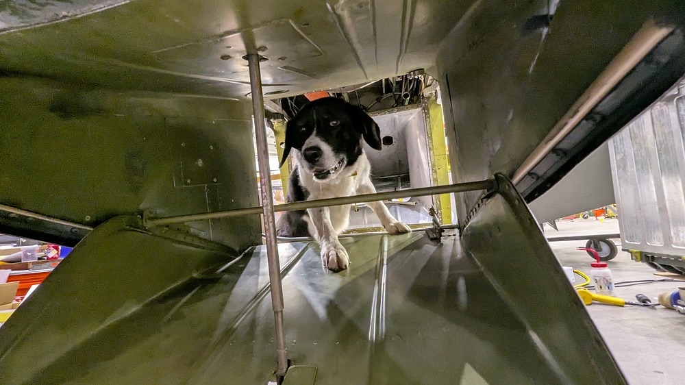 PXL_20260413_205835622