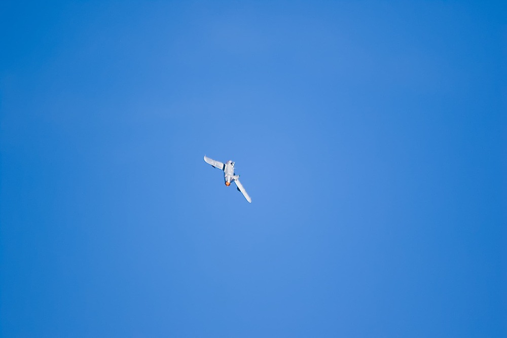 IMG_5297