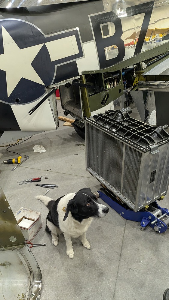 PXL_20260403_190750140