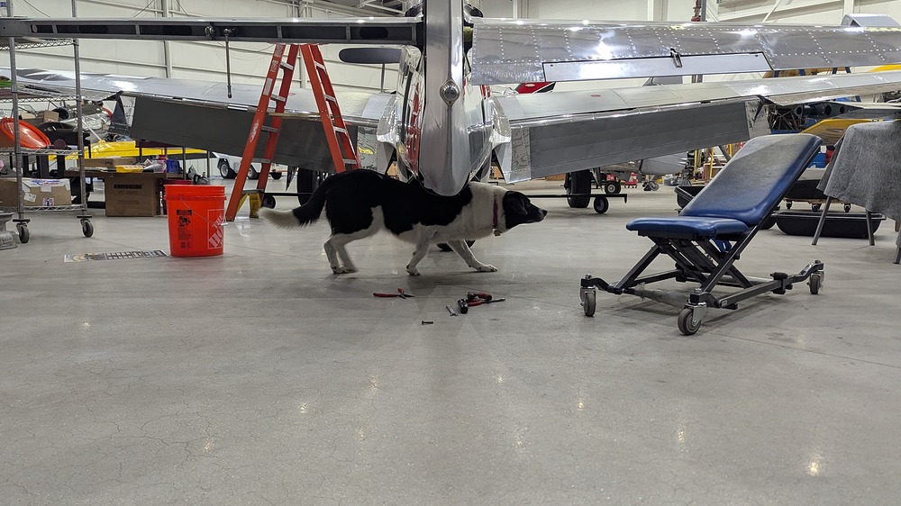 PXL_20260325_172509037