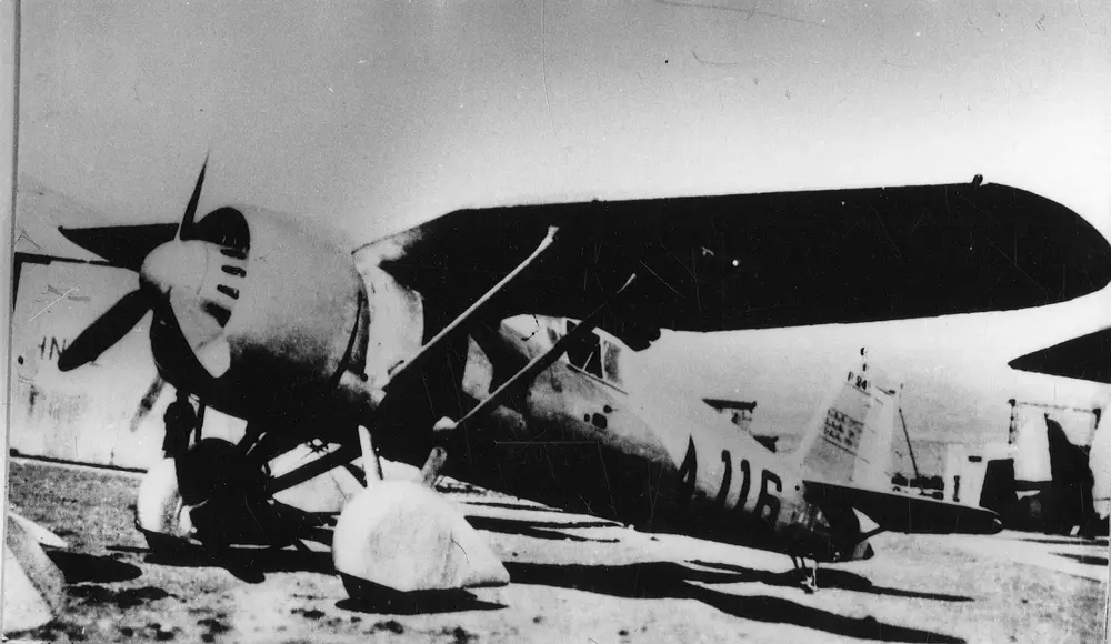 pzl24
