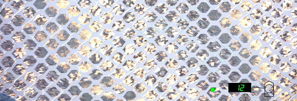 Снимок экрана 2025-09-07 143030