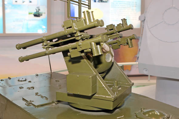 Model of FLV-1