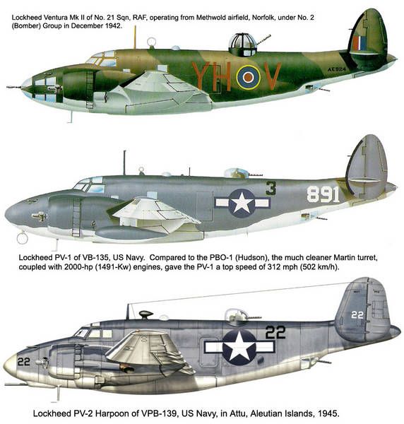 c239d583d66afb759515d4997a6396ad
