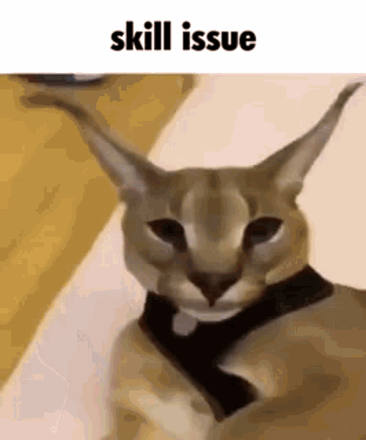 skill-issue-floppa-skill-issue