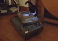 catttttssss