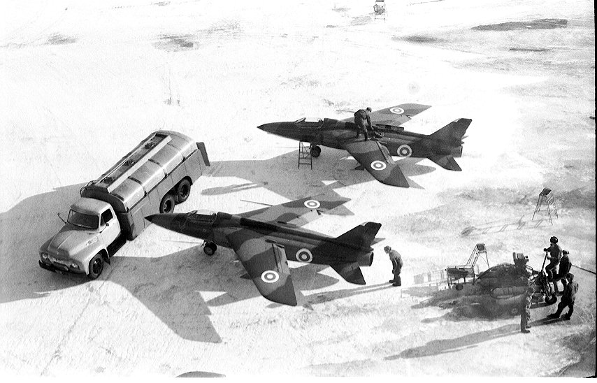 gnat_04