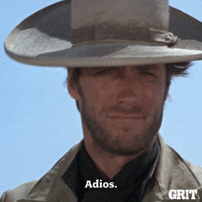 Adios