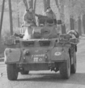 IWM (BU 5679) Crop