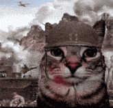 been-through-war