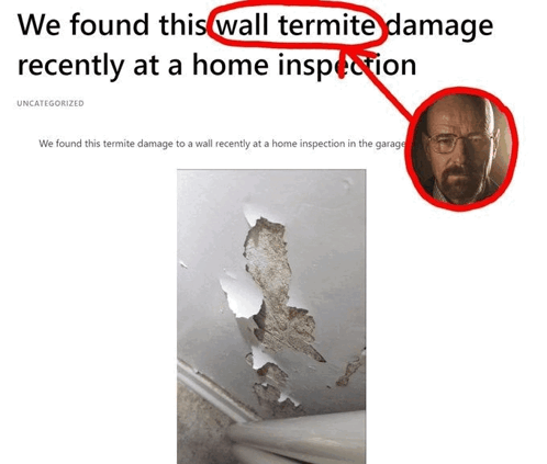 wall-termite-walter-white