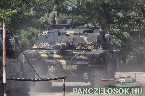 548683877_776101375007238_5947122753497292695_n