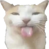 1304448278175289364