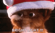 gizmo-brightlig