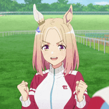 uma-musume-road-to-the-top