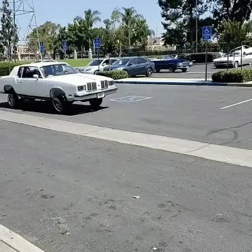 dippin-our-way-cutlass
