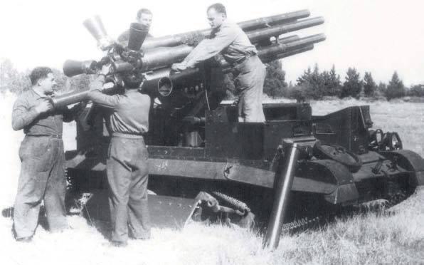Argentine mod