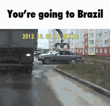 crane-brazil