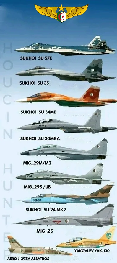 is-the-algerian-air-force-turning-into-vvs-lite-v0-w4uxuvgxxxtf1
