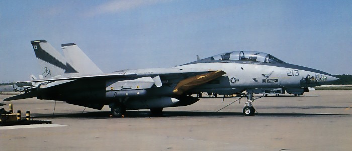 F-14B_FLIR-R1 (1)