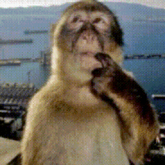 monkey-thinking-monkey