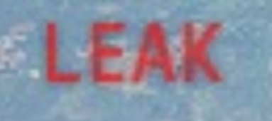 leakwt1