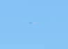 Screenshot 2025-09-24 084154_Crop