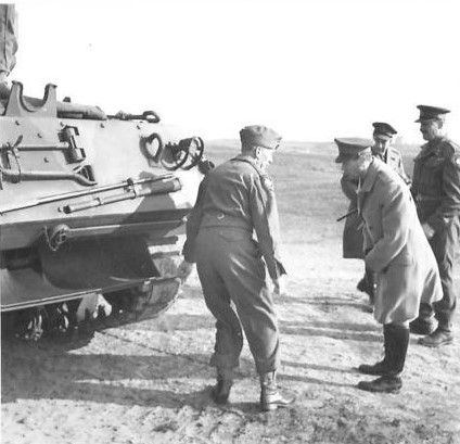 IWM (H 36374) Crop