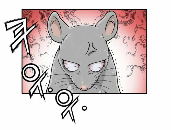 angry rat