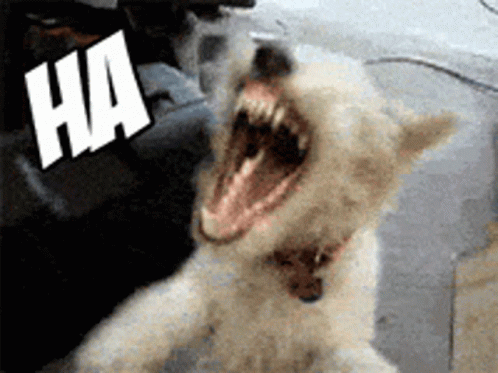 laughing-dog-meme-scary-dog-laughing