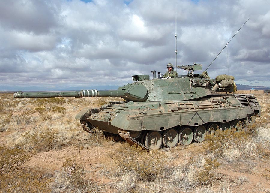 Photo-Leopard-1-C2