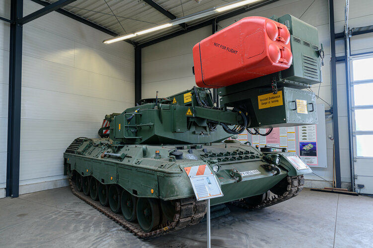 leopard 1 giraffe