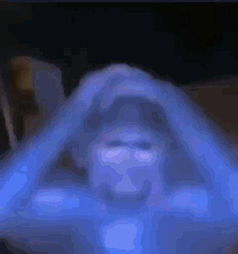 b0f78ac2c6f8b0b679a455b9ab7dc995