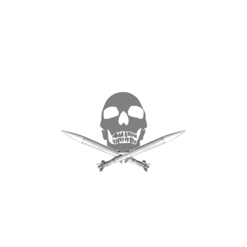 AMRAAM_Skull-removebg-preview