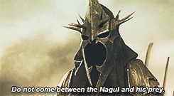 tumblr_mm5iiylJ0c1qm0efro1_250