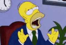 homer-simpsons-the-simpsons