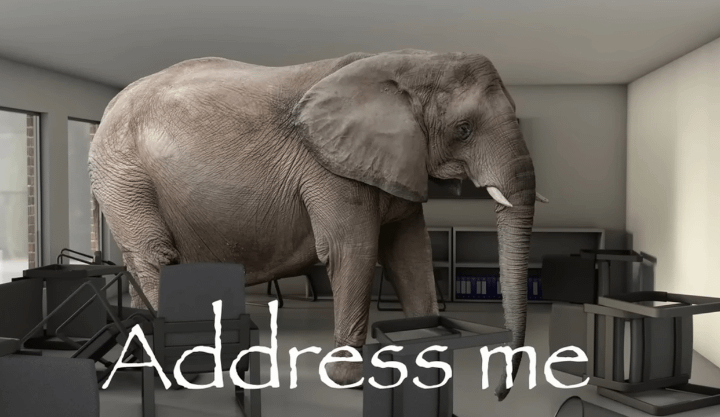 we-need-to-address-the-elephant-in-the-room-v0-o1fhvfch8kbg1