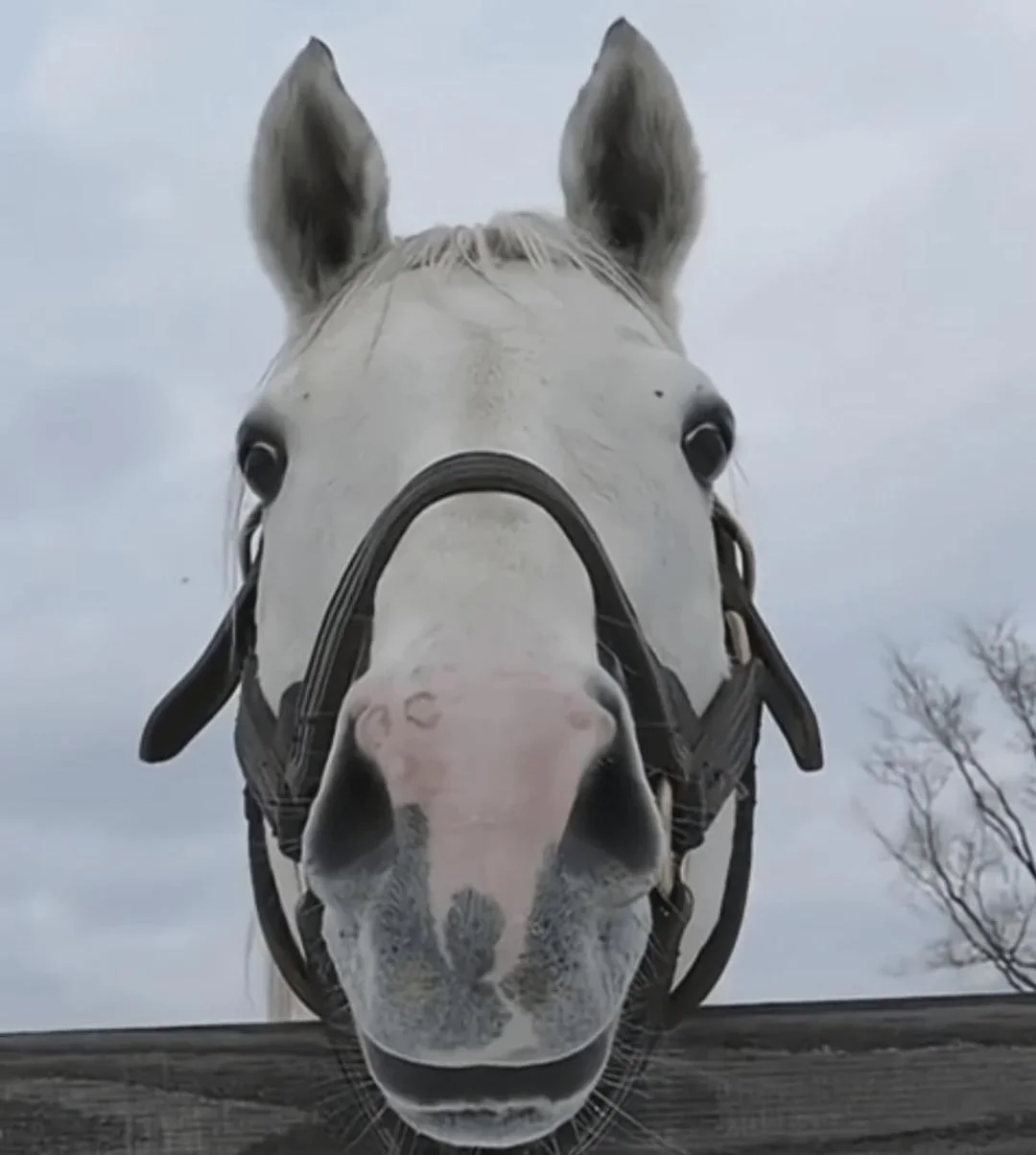 RDT_20250824_122340950339405503221232