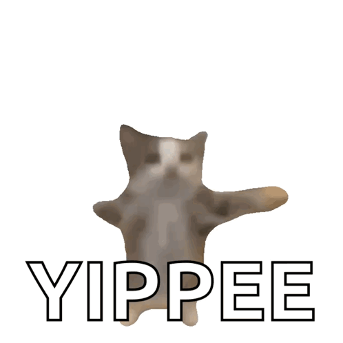 fast-cat-cat-excited