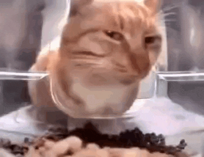 17711893822508015259467827925296