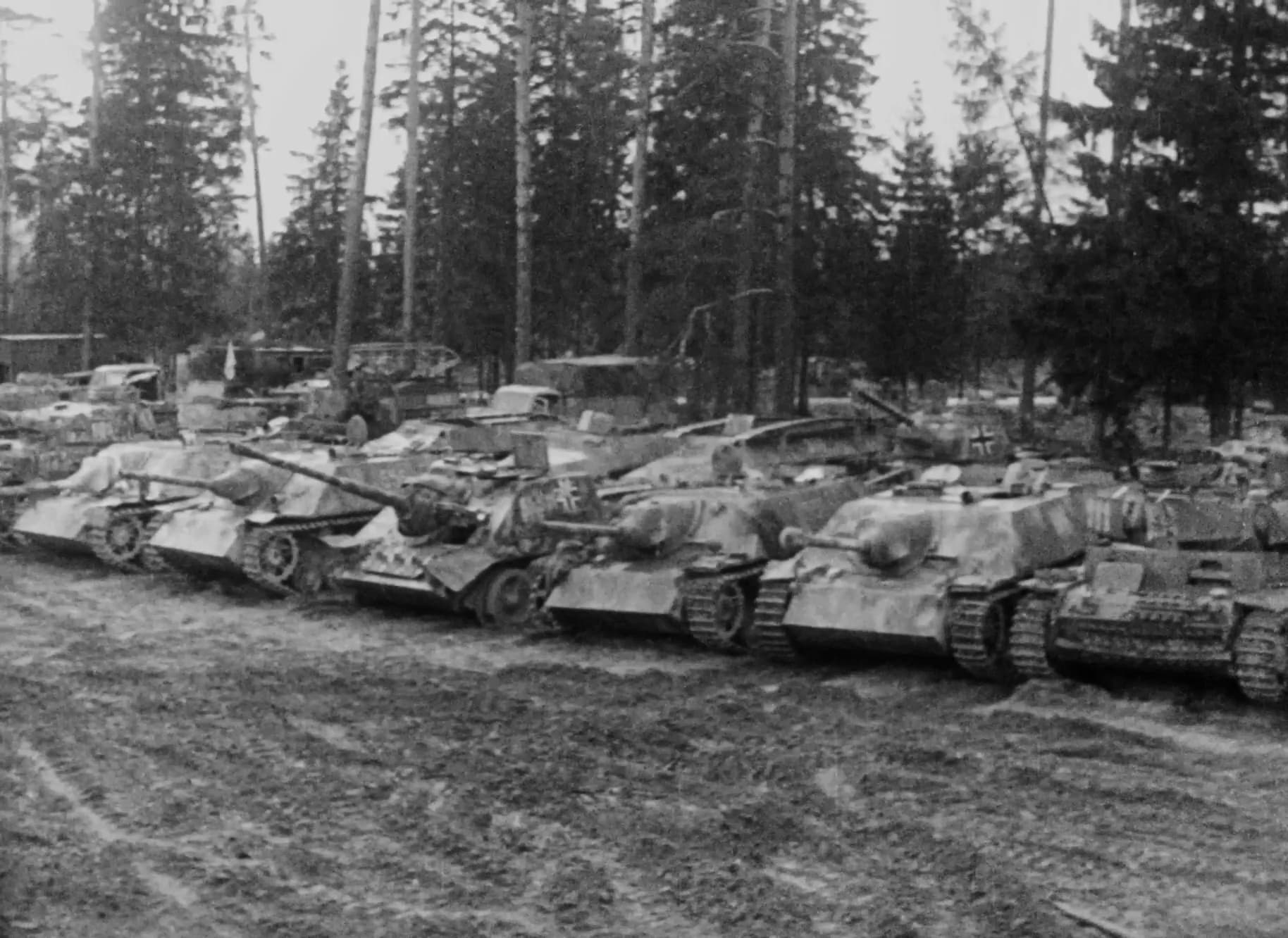 vlcsnap-2025-11-16-00h19m00s550