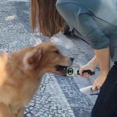 FB_IMG_1765451821962